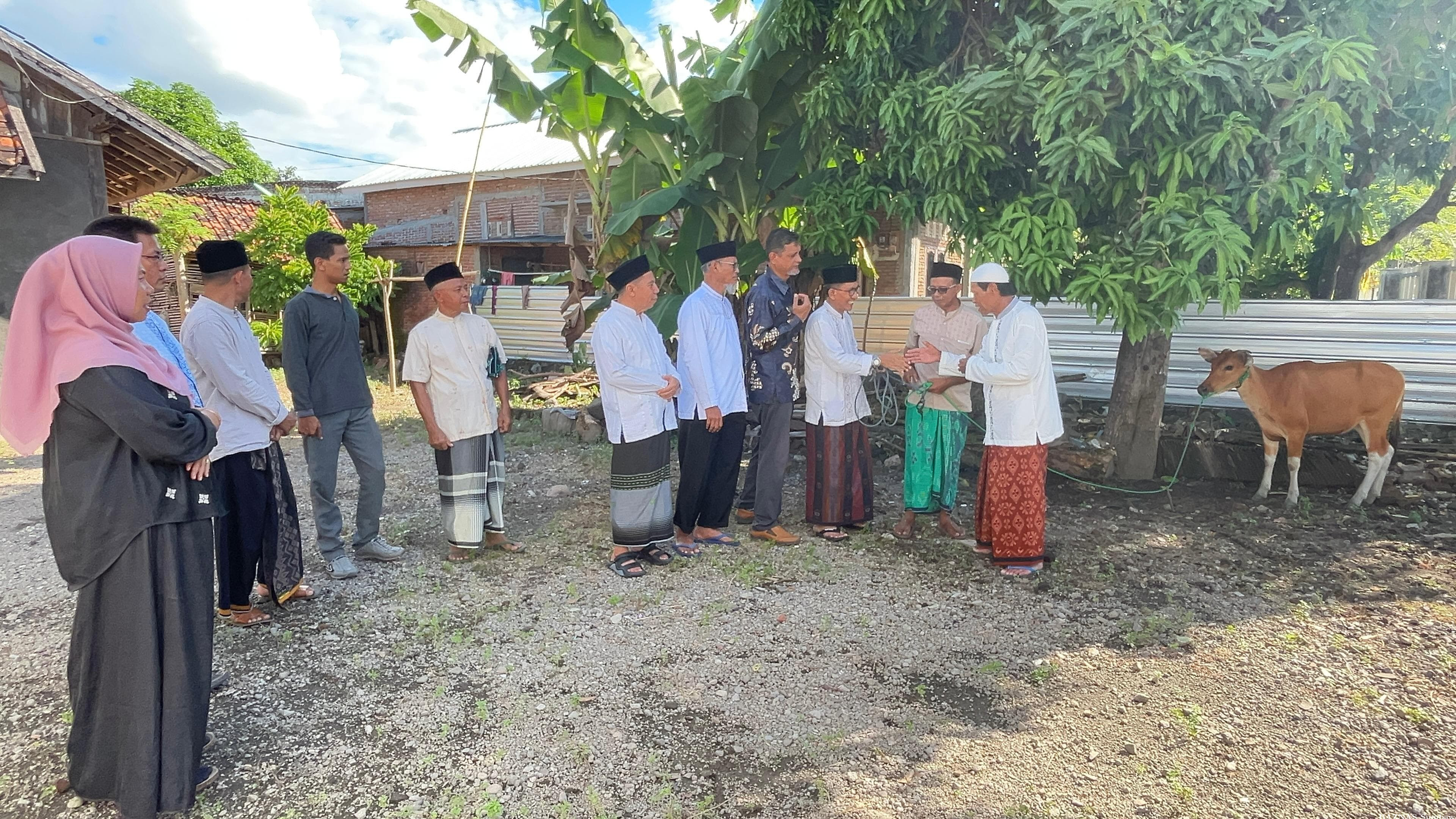 Kades Olat Rawa Tunaikan Zakat Maal Sapi Lewat BAZNAS Sumbawa